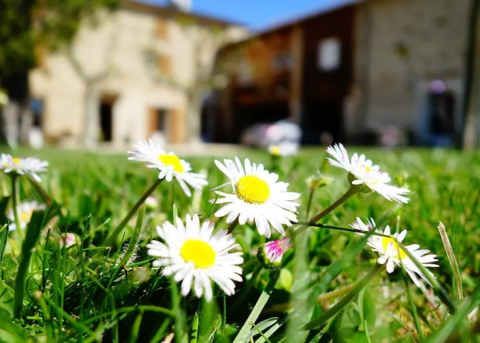 Bed & Breakfast La Ferme Des Denis Chambres Dhotes 3*